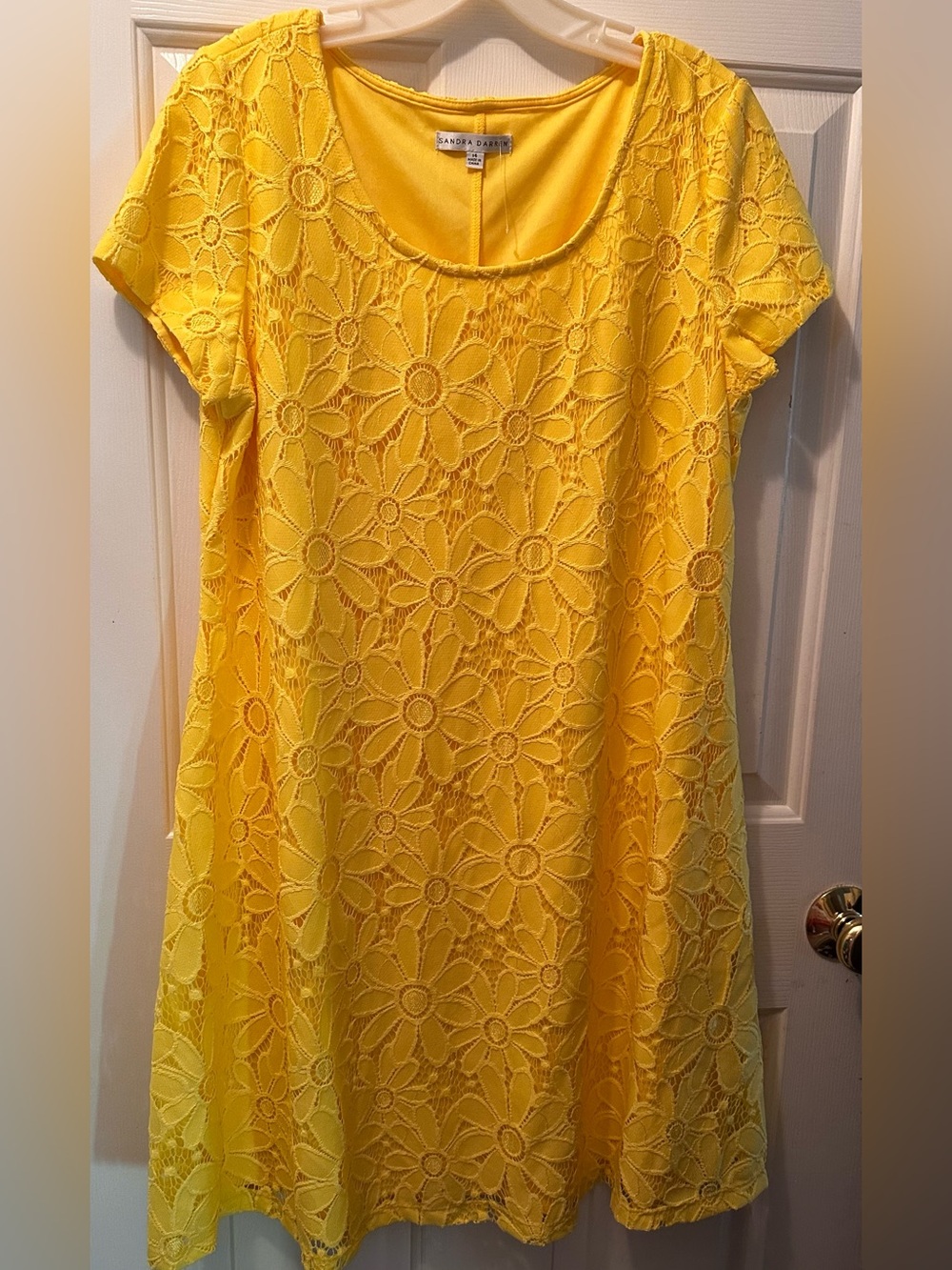 Beautiful Sandra Darren lace dress 14